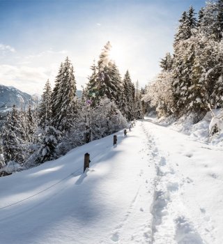 Winterlandschaft | © Flachau Tourismus